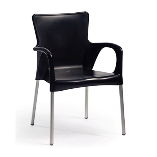 Ana Arm Chair, Black (Set of 2)