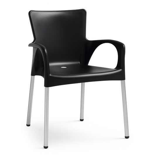 Ana Modern Outdoor Arm Chair, Black (Set of 2)