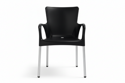 Ana Modern Outdoor Arm Chair, Black (Set of 2)