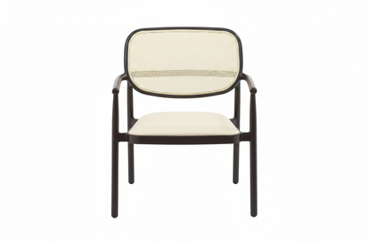Dublin Bistro Cane Lounge Chair - Aluminum, Walnut (Set of 2)
